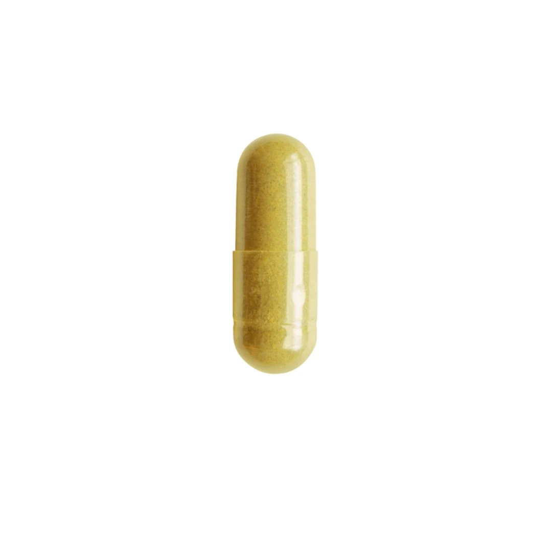 salengei-active-berberina-2