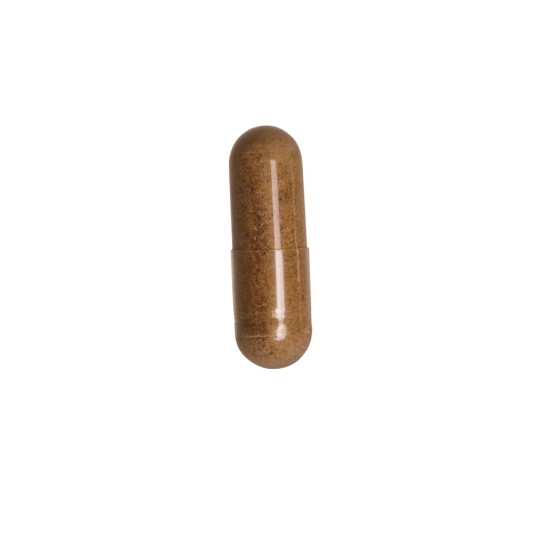 salengei-active-memory-2